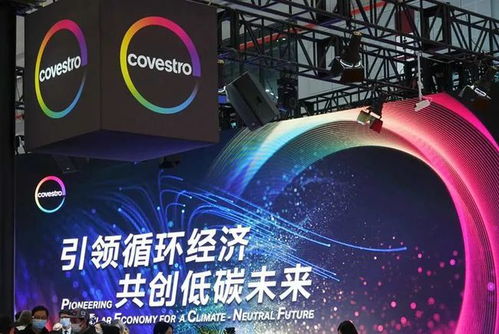 新投資 新合作 新訂單,這個進(jìn)博會 新朋友 超有料